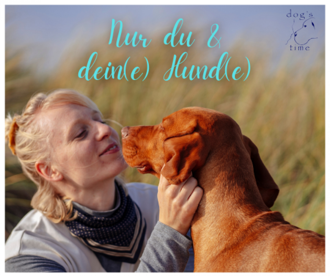 Einzeltraining - nur du & dein(e) Hund(e)