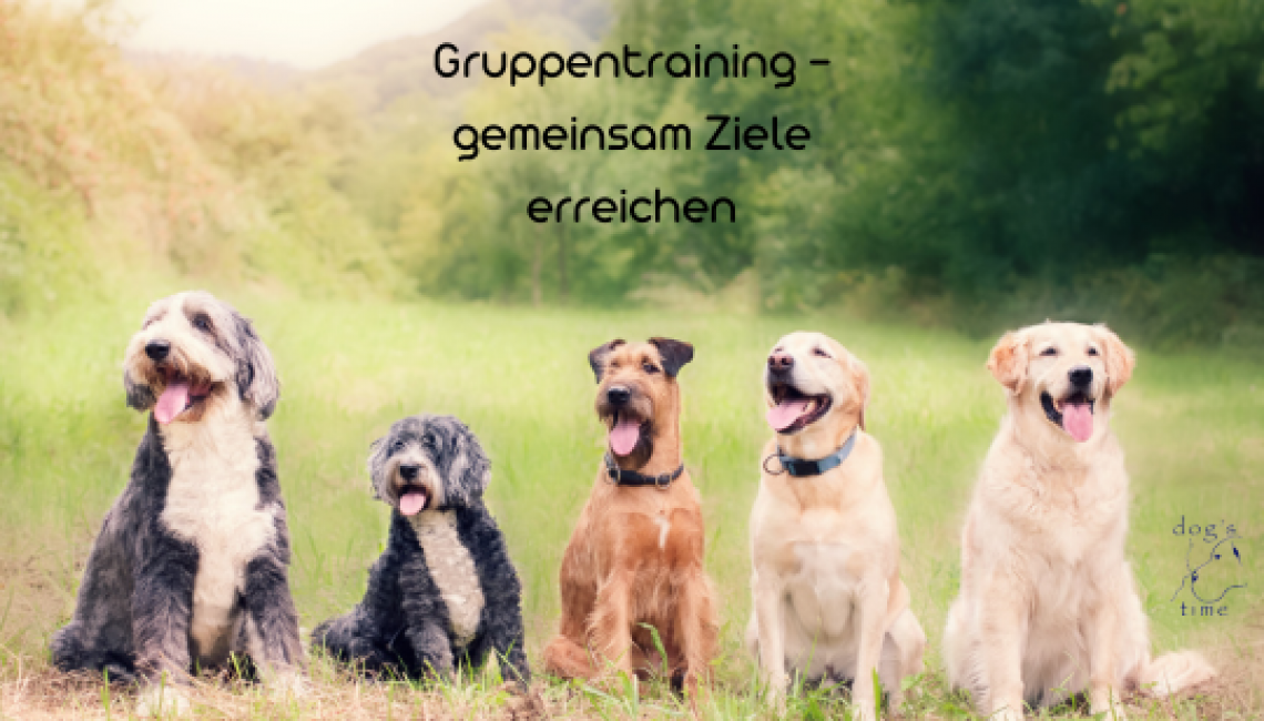 Gruppenstunden