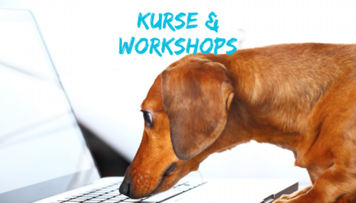 Kurse & Workshops