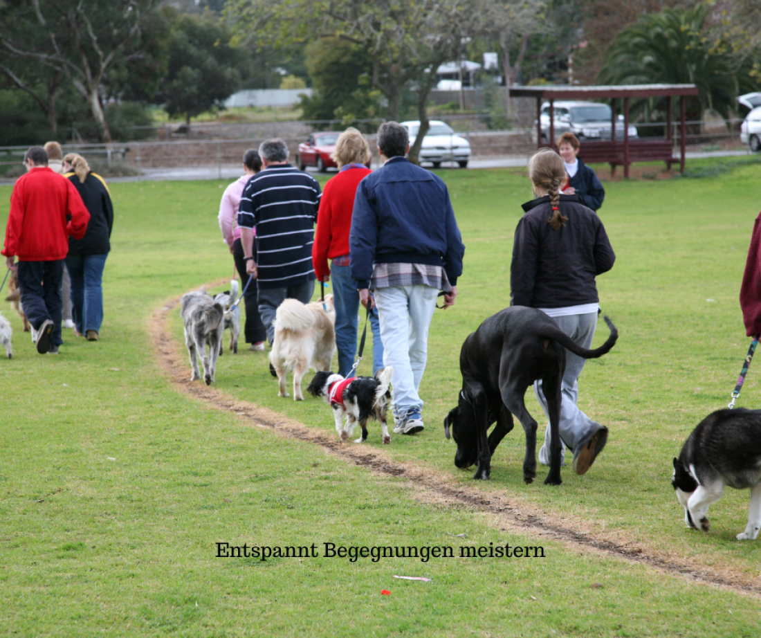 Entspannte Begegnungen
