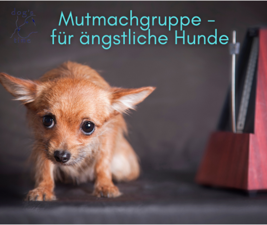 Mutmachgruppe - Angsthundecoaching