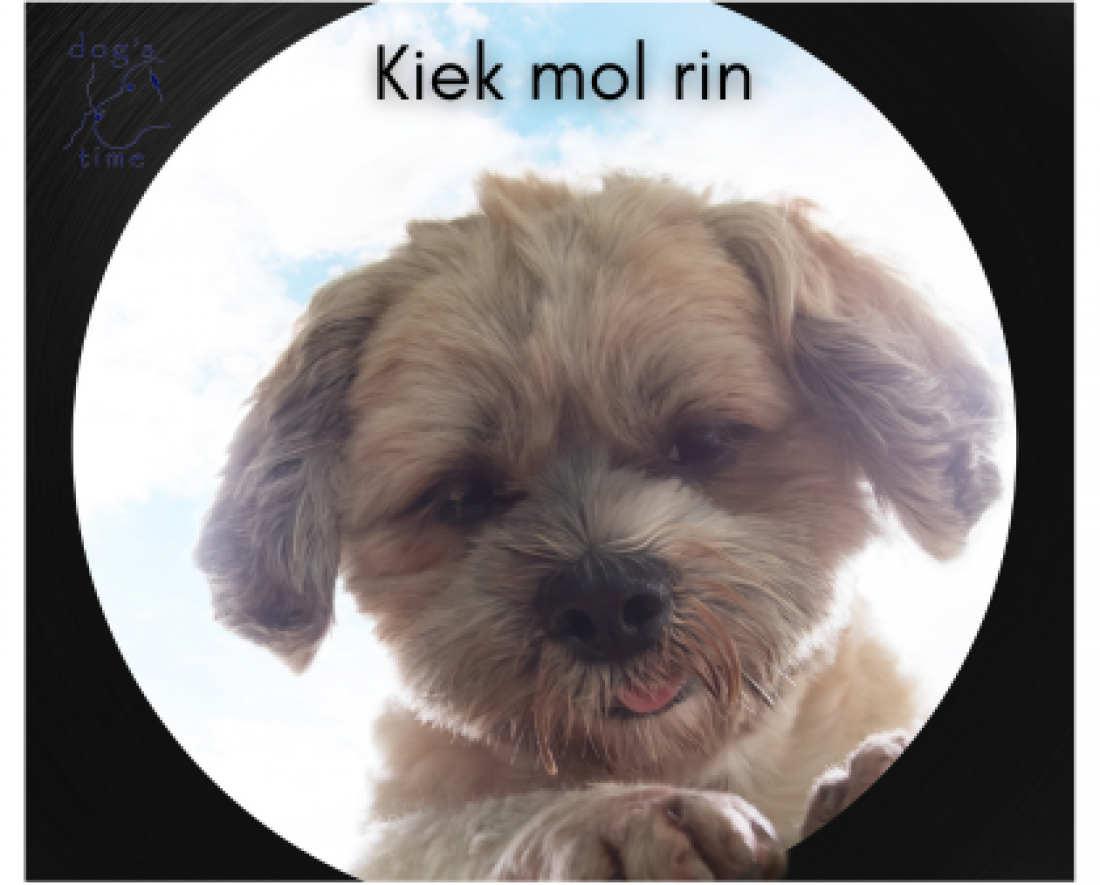 Kiek mol rin 