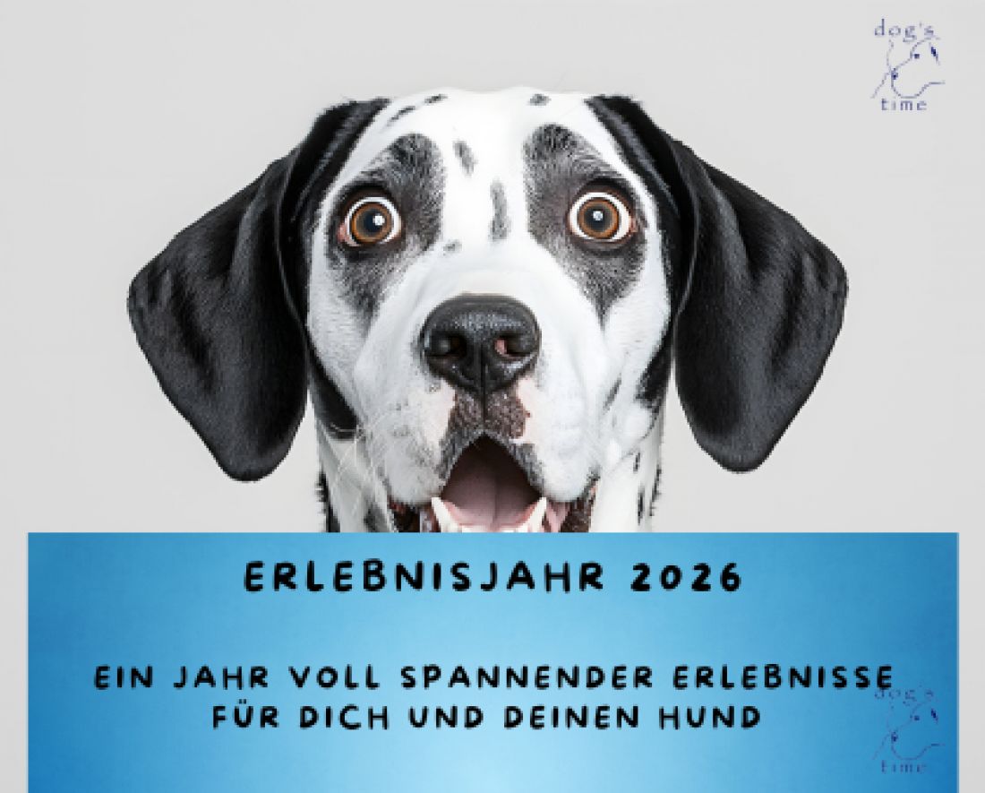 Erlebnisjahr 2026 